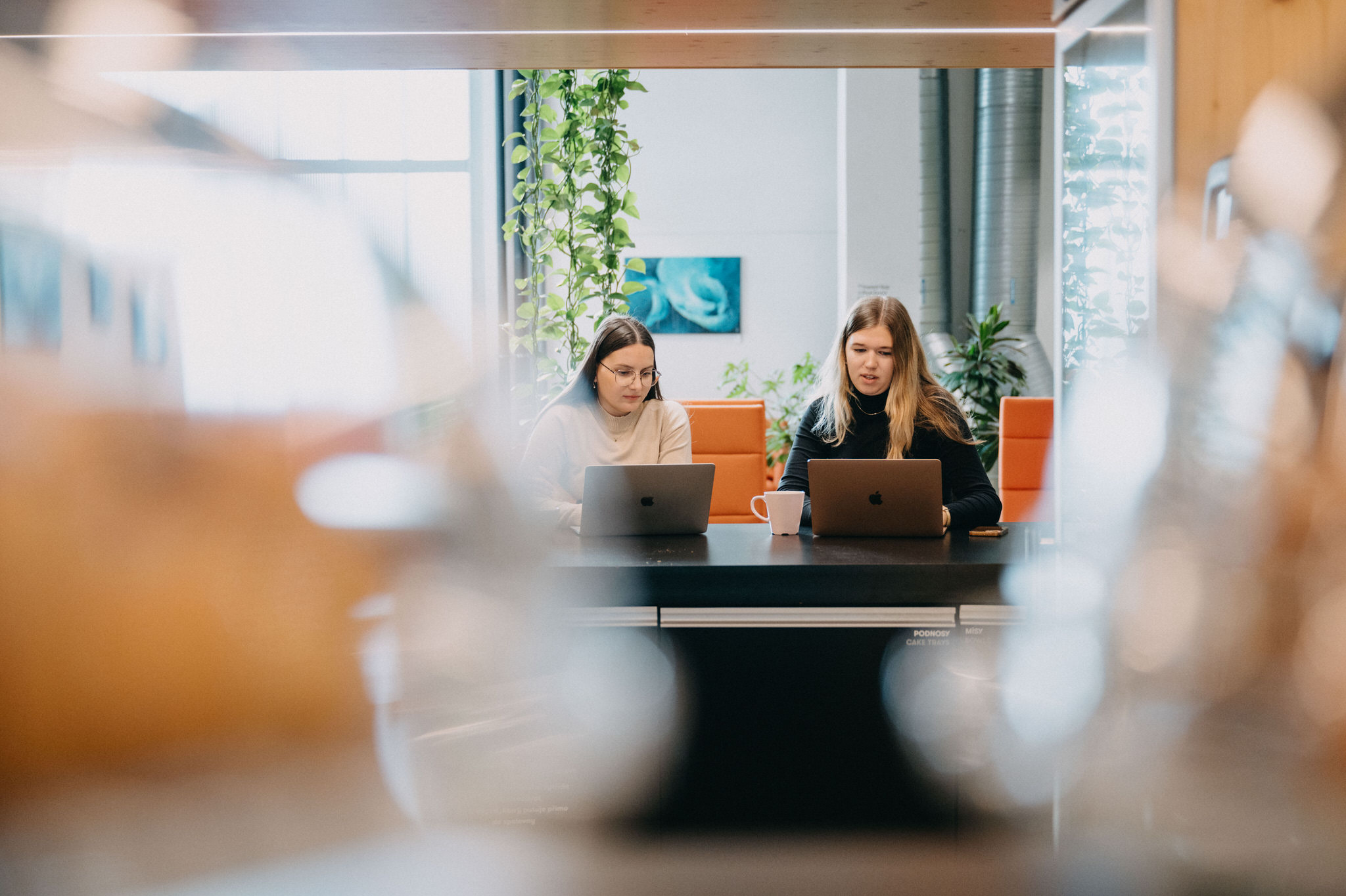 Impact Hub Brno – práce u stolu ve společném prostoru